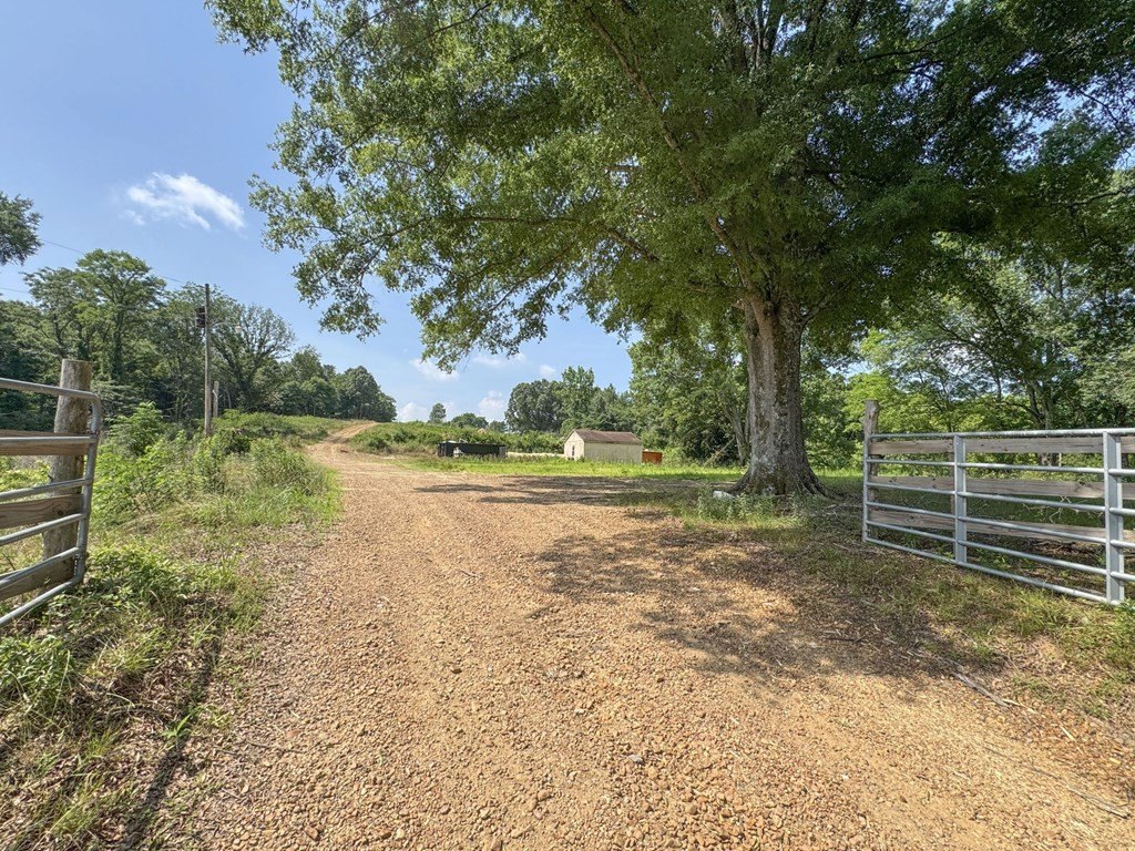 Picture 32