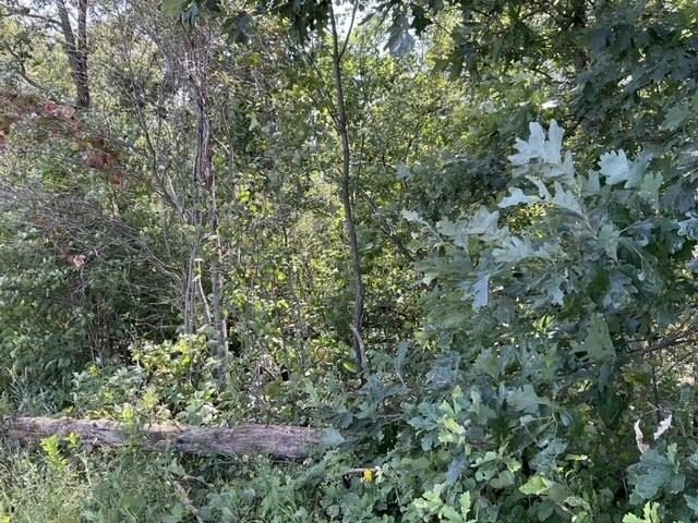 Picture 8