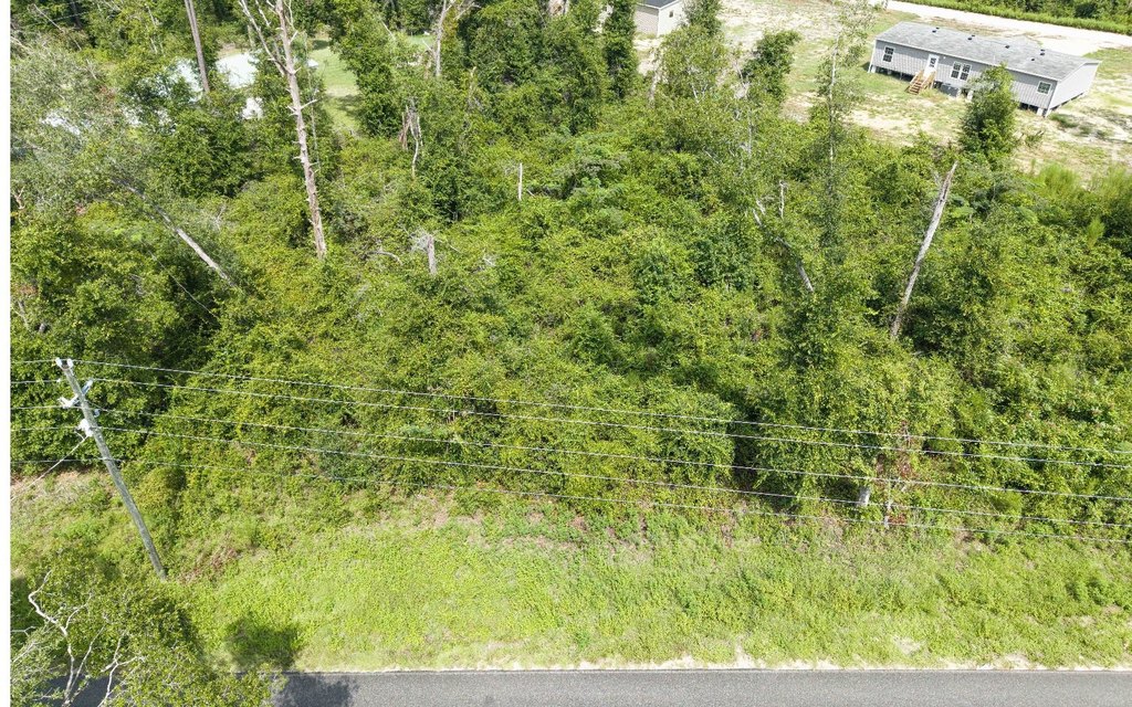 Picture 12
