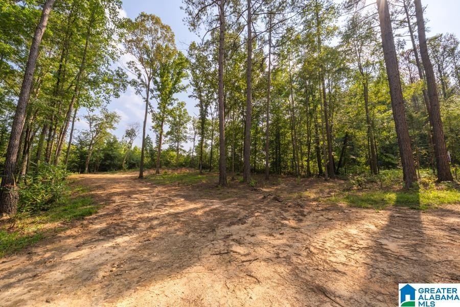 Picture 29