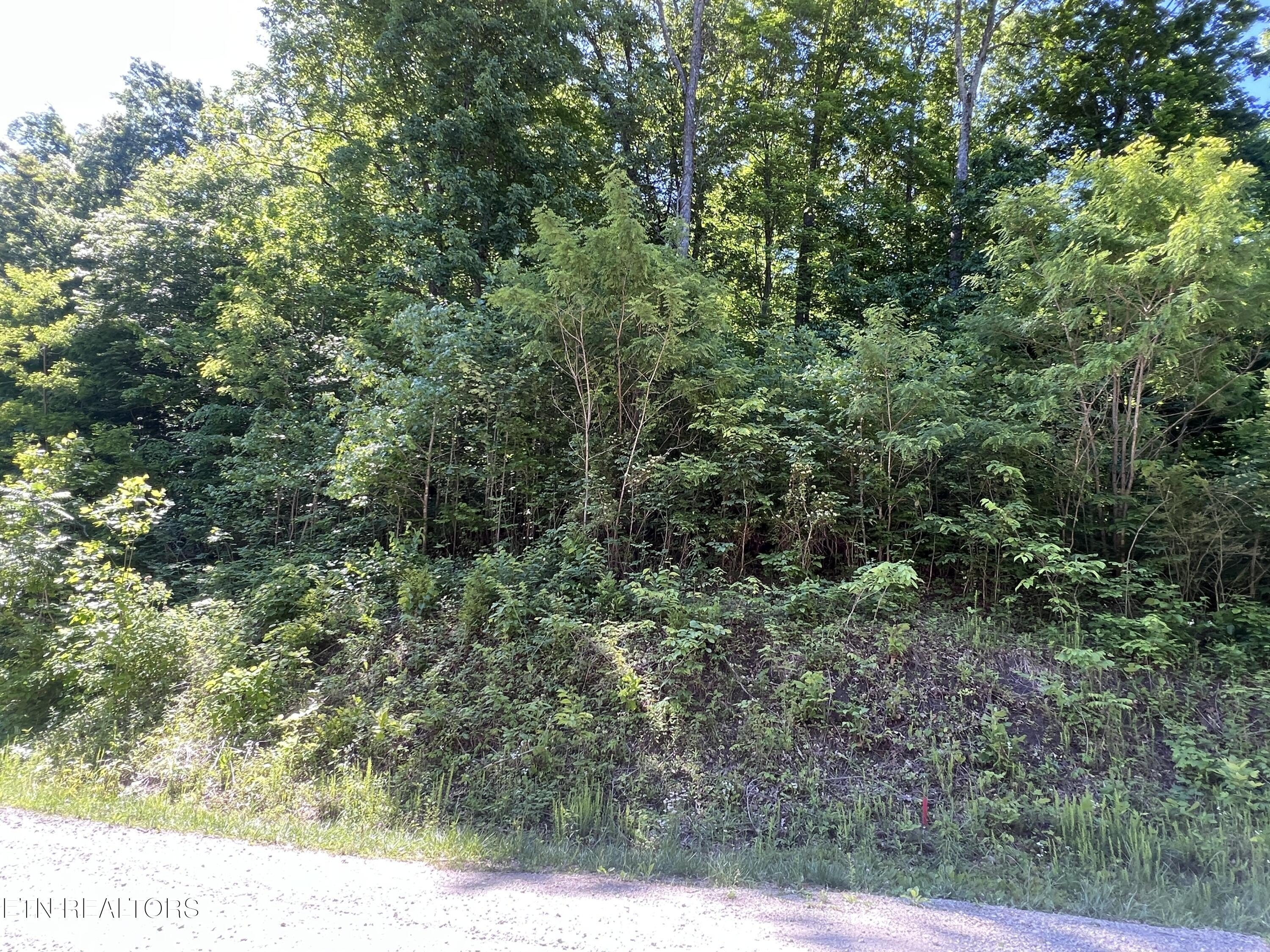 5.01 Acres Wooded Land