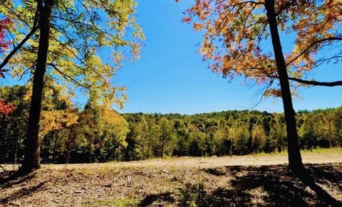 Burkesville Land Near Dale Hollow