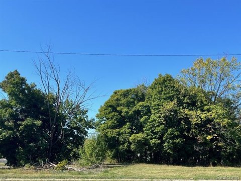 Residential Build Opportunity in Detroit