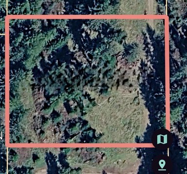 Two Acre Redwood Homesite