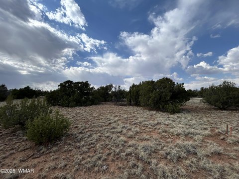 Land in Concho, Arizona