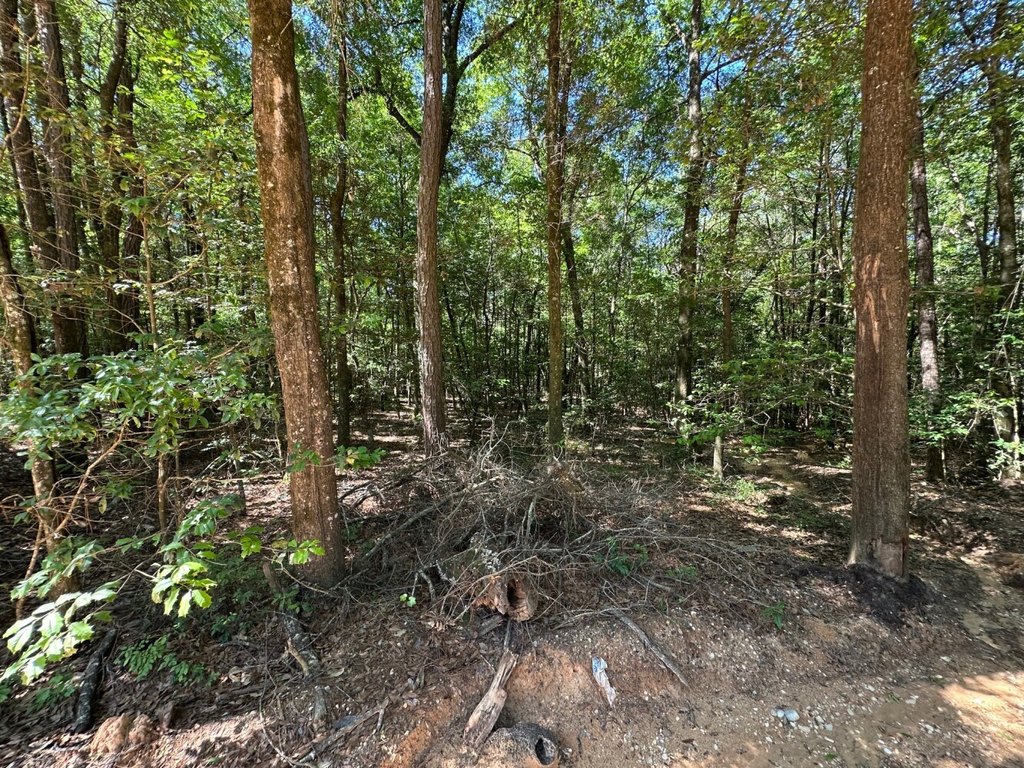 Picture 12