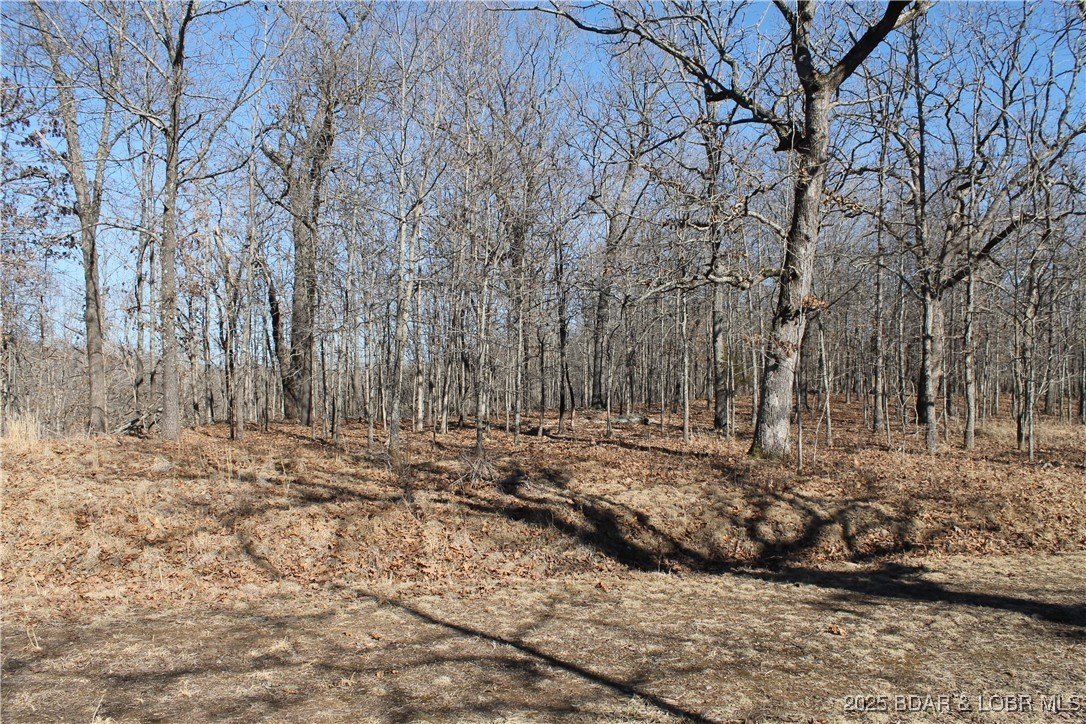 Edwards, MO 3-Acre Retreat