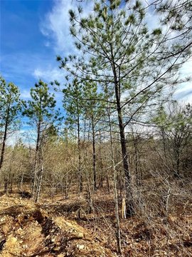 LAND - Broken Bow, OK
