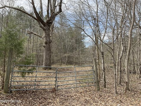 Hunting Land in Beech Bluff