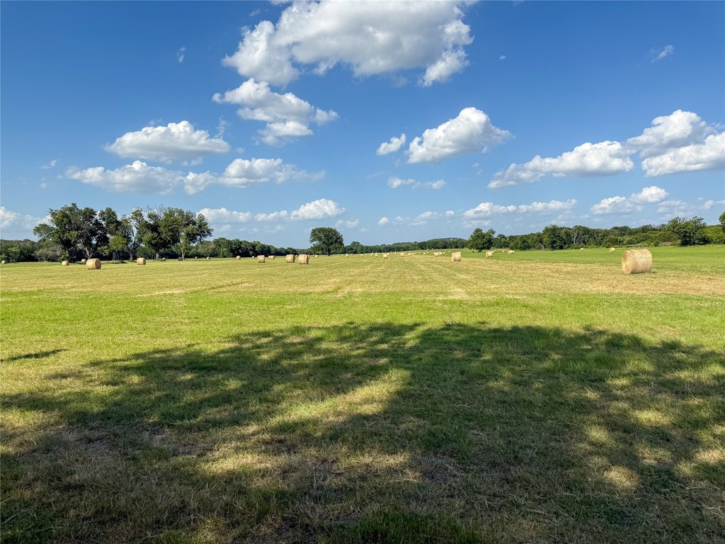 Picture 20