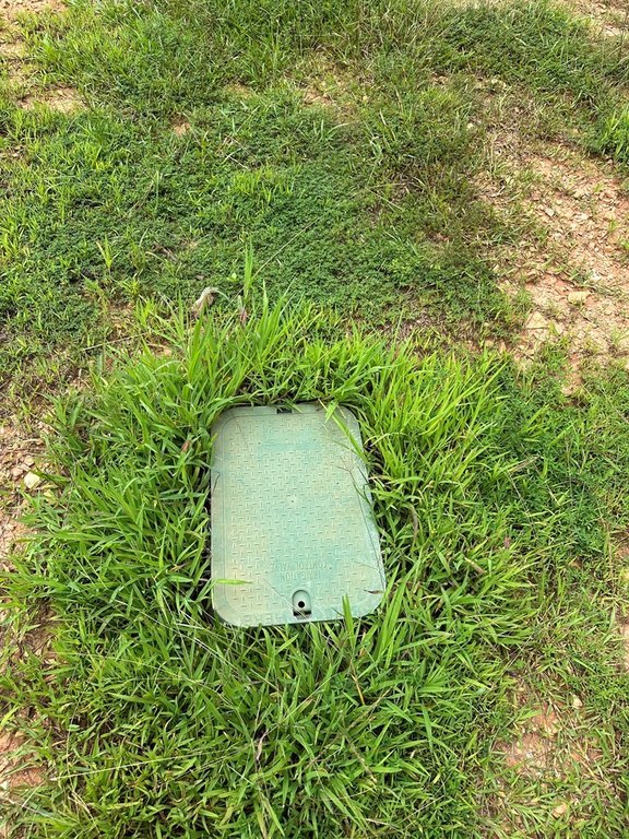 Picture 9