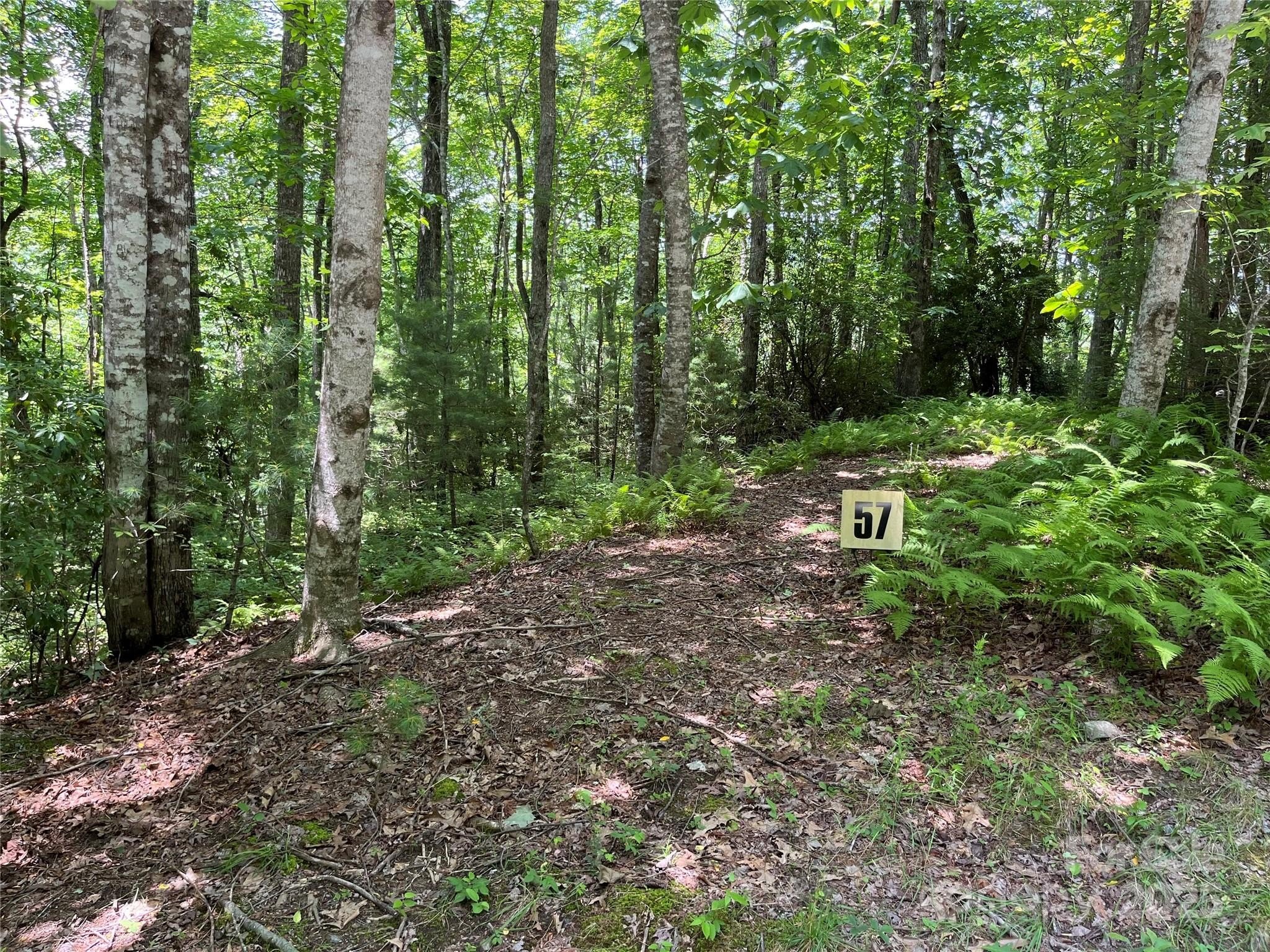 Land in Brevard Neighborhood
