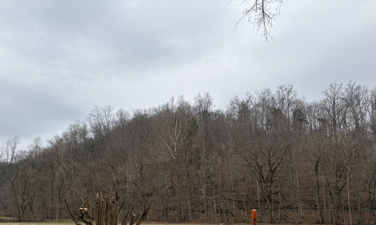 Land for Hunting and Building