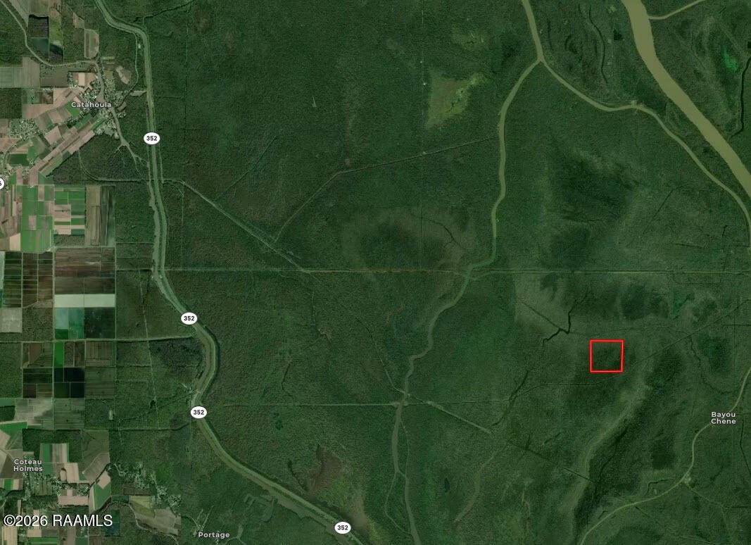 Heavily Wooded Hunting Land