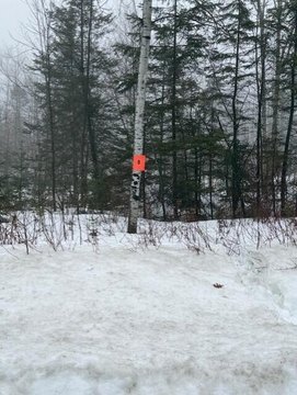 Castle Hill Land For Sale