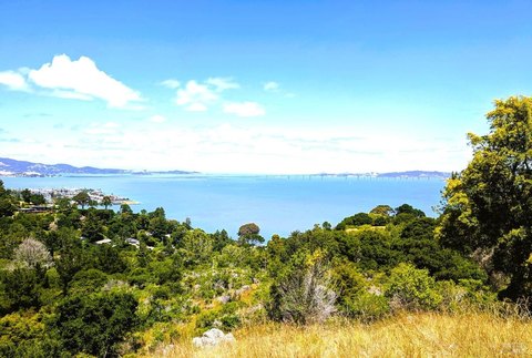Tiburon Residential Acreage For Sale