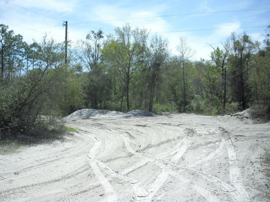 Picture 10