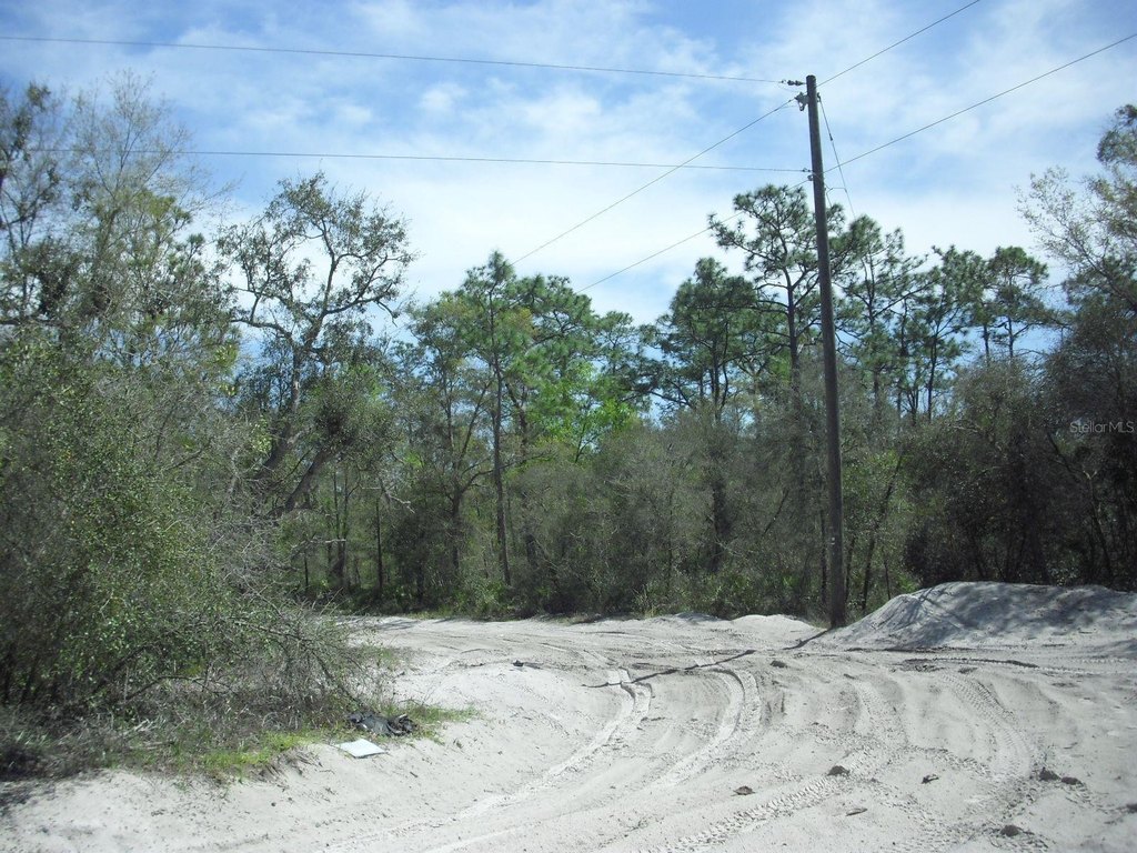 Picture 11