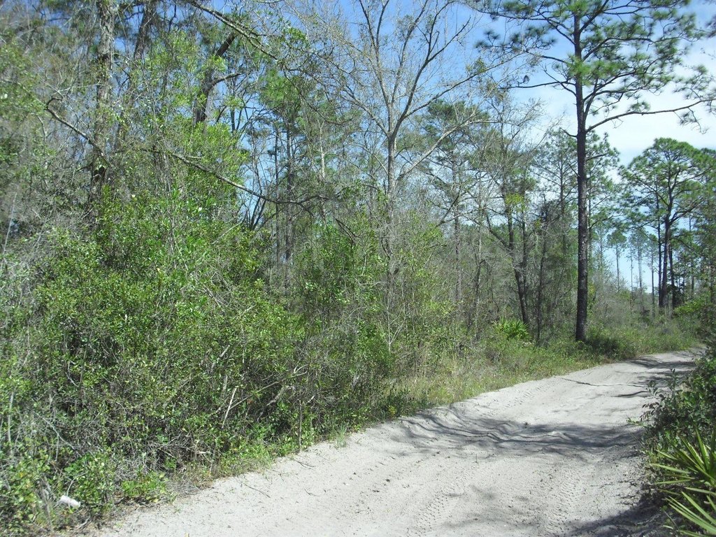 Picture 2