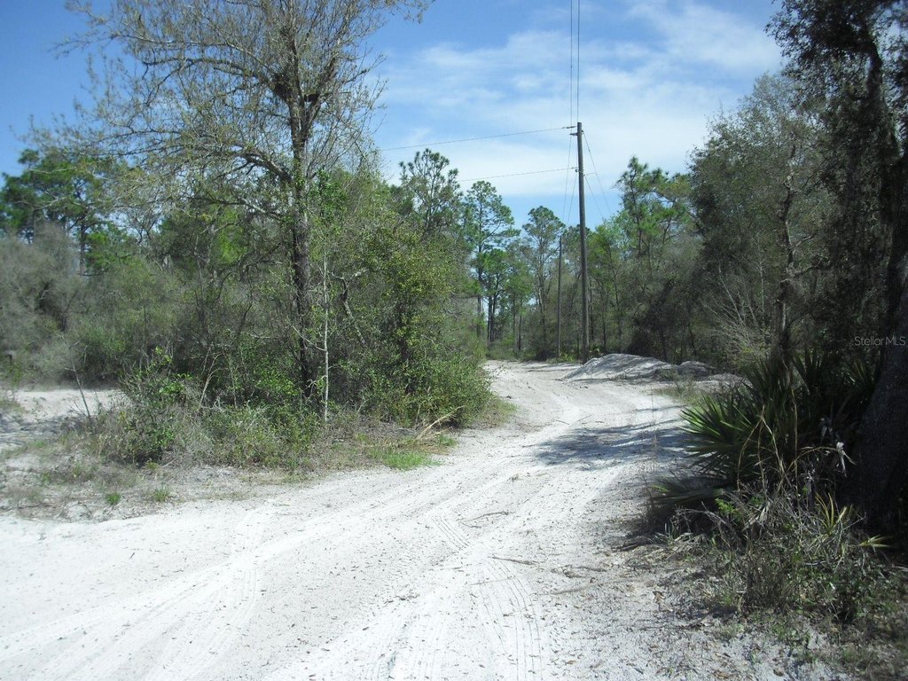 Picture 13