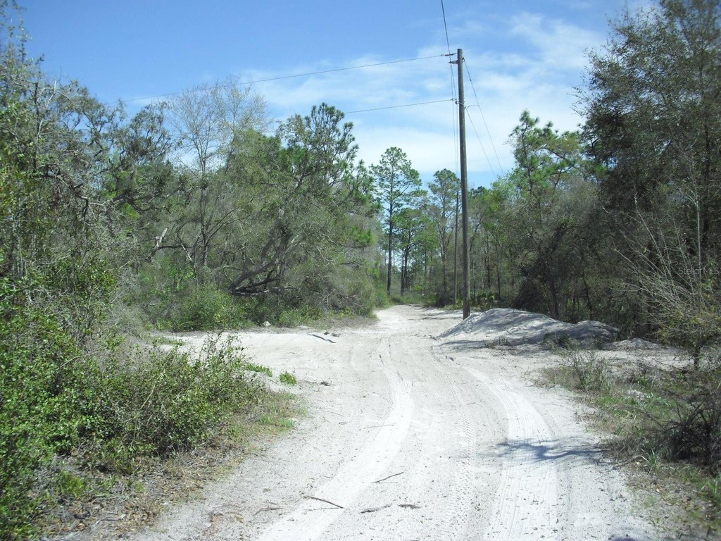 Picture 14