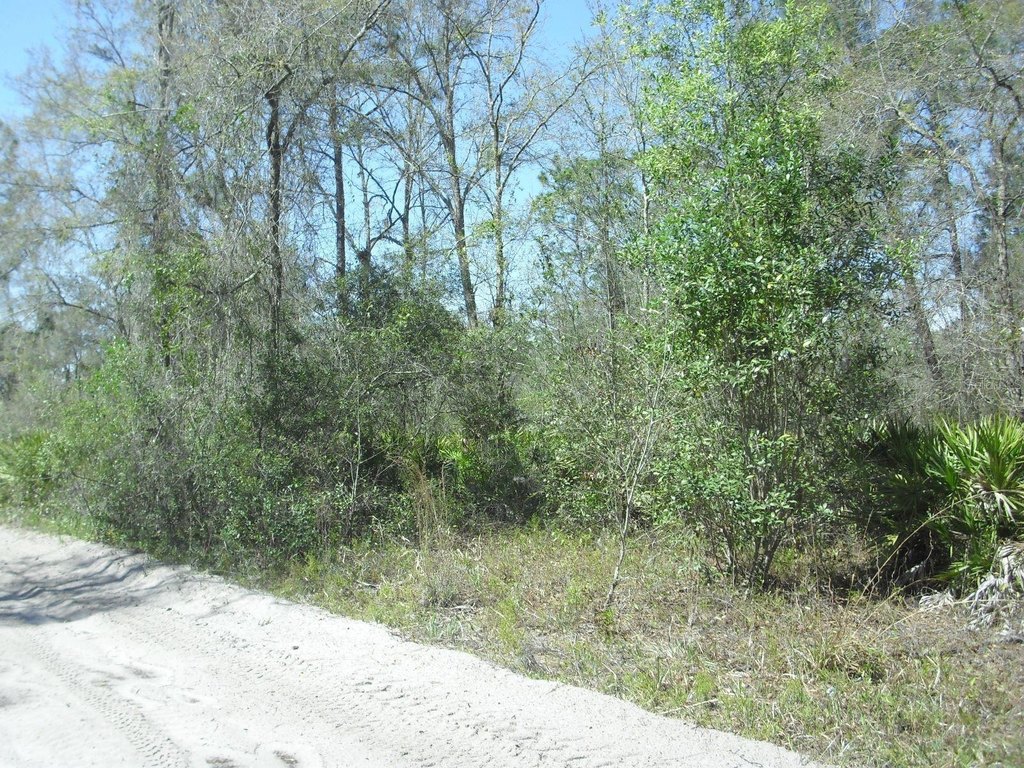 Picture 3