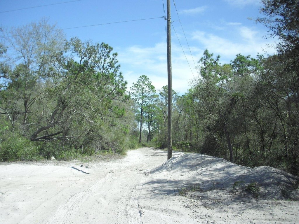 Picture 15