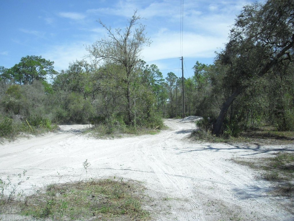 Picture 12