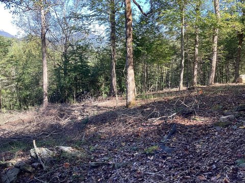 Hiawassee Vacant Lot in Gated Community
