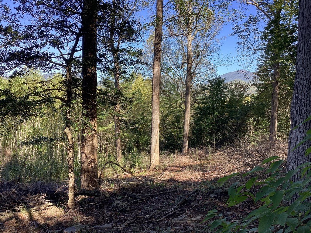 Picture 60