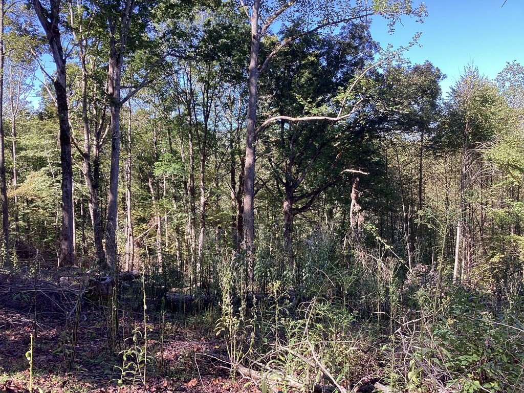 Picture 39