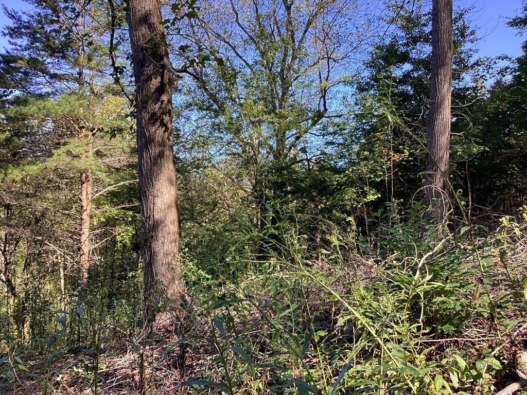 Picture 23