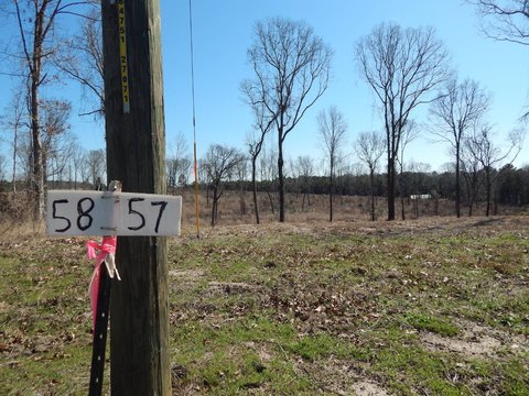 Vacant Land Near Waterfront