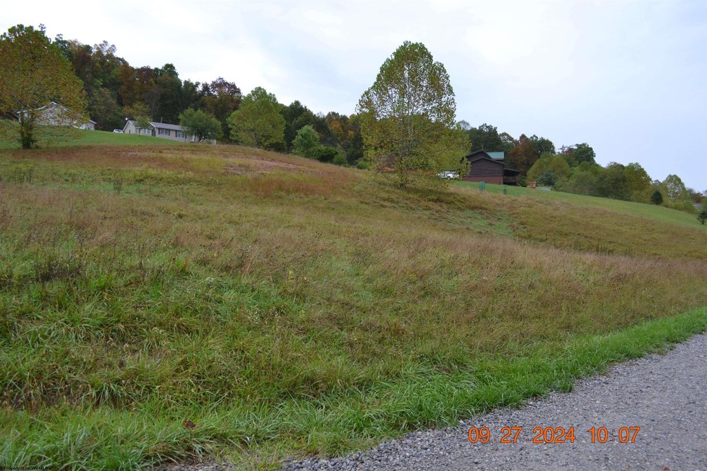 Picture 6