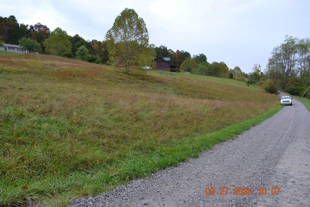 Picture 7