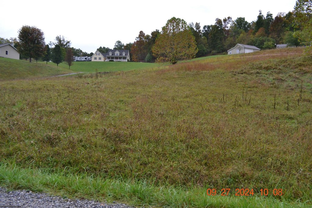 Picture 8