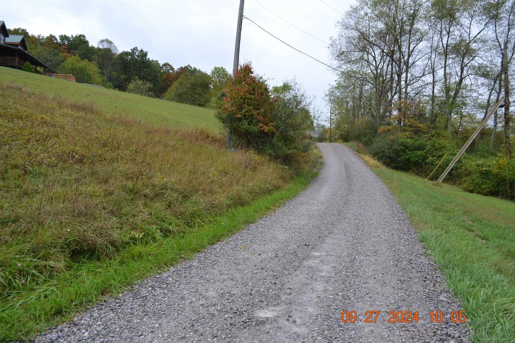 Picture 3