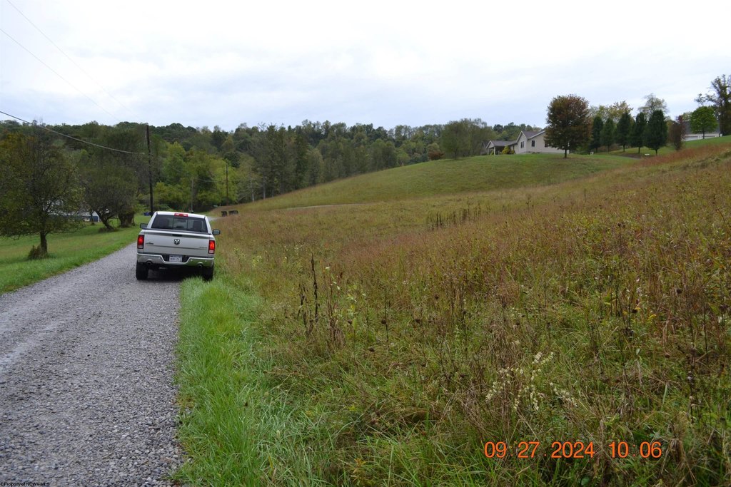 Picture 4