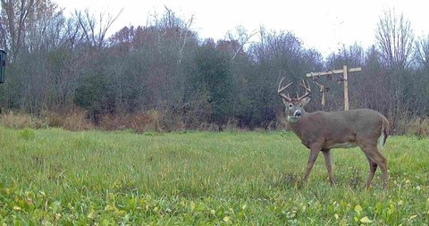Build-Ready Recreational Acreage