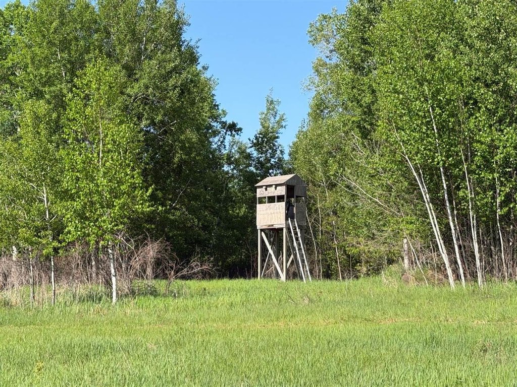 Picture 15