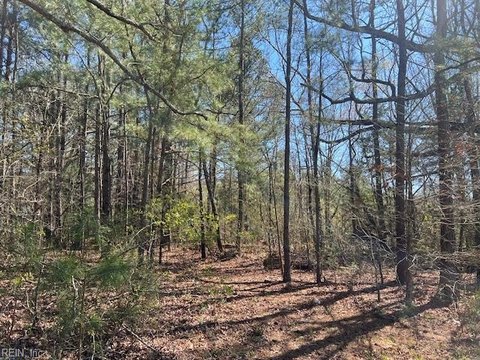 LAND - Waverly, VA