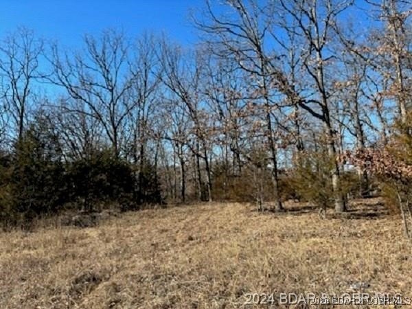 Residential Land in Camdenton, Missouri