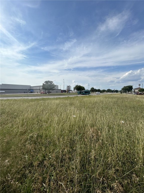 Picture 22