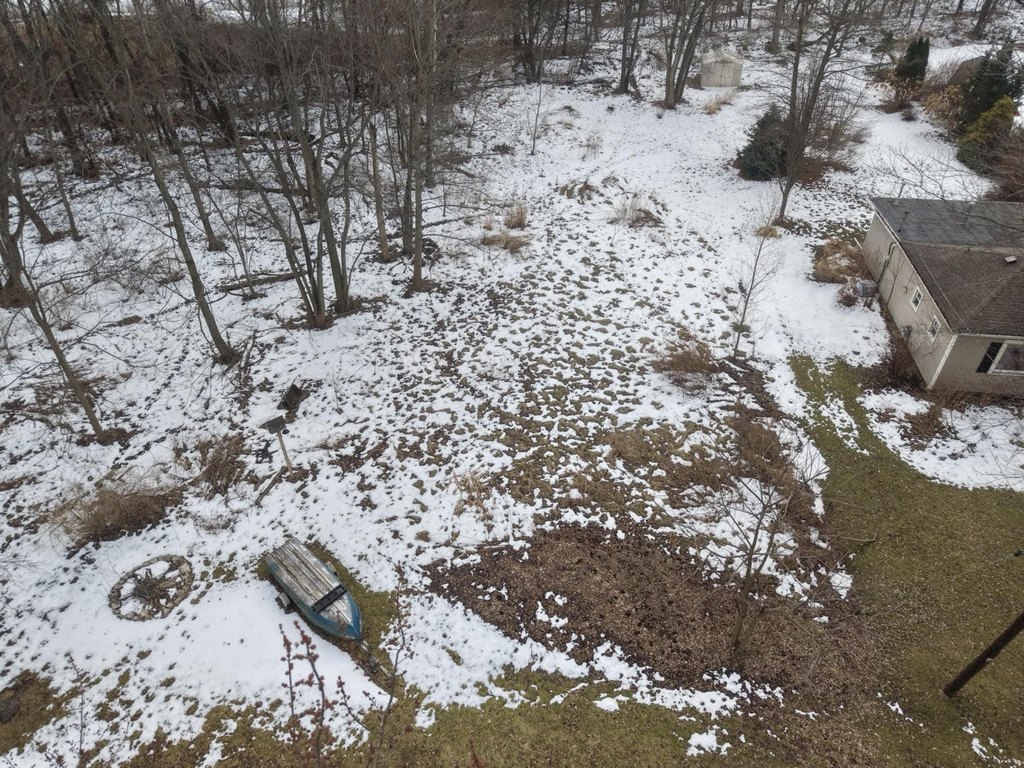 Picture 4