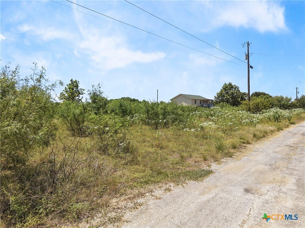 Picture 19
