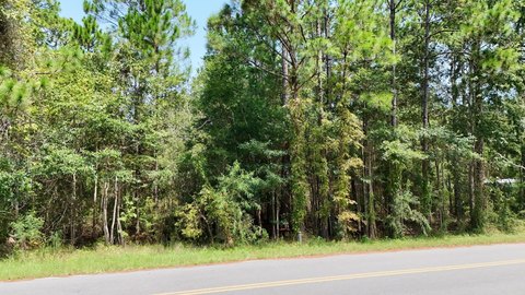 Land, Panacea, FL