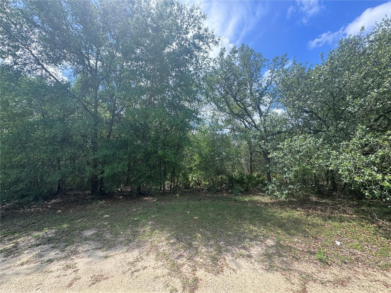 Williston Building Lot For Sale