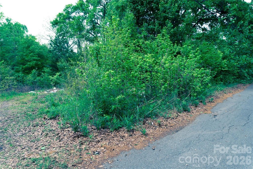 Picture 3