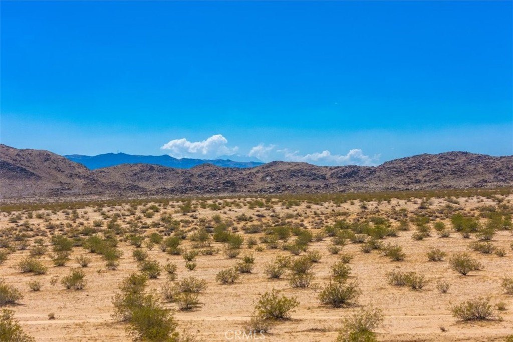Joshua Tree Land Opportunity