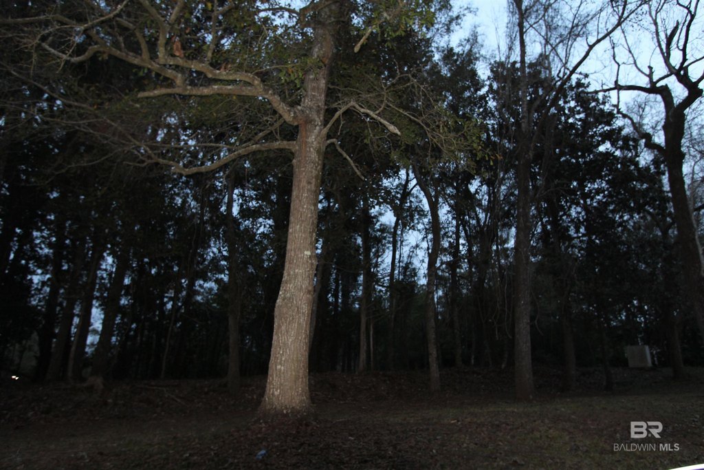 Picture 22